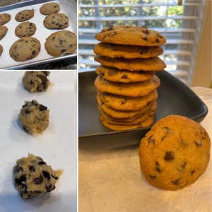 00A898B0-4669-4E5A-927C-B066FBD11784